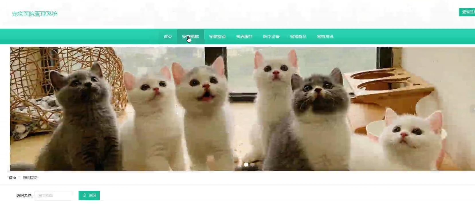 基于Spring Boot宠物医院管理系统-毕设项目源代码 下载